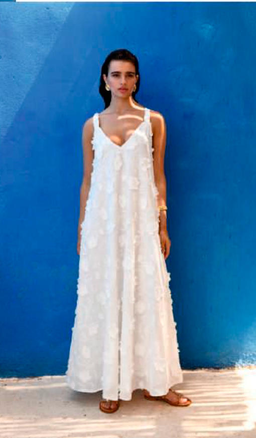 Alkmini Maxi Dress